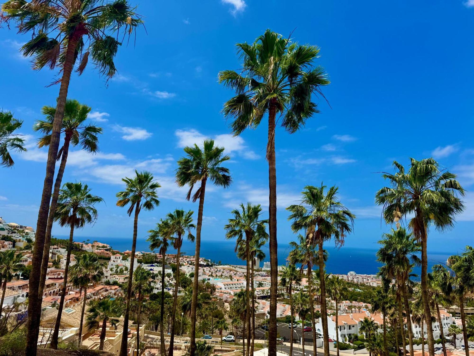 Stunning Apartments With Pool Tenerife Costa Adeje  Luaran gambar